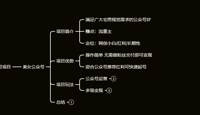 变现宅男的副业项目，网创小白轻松月入过万