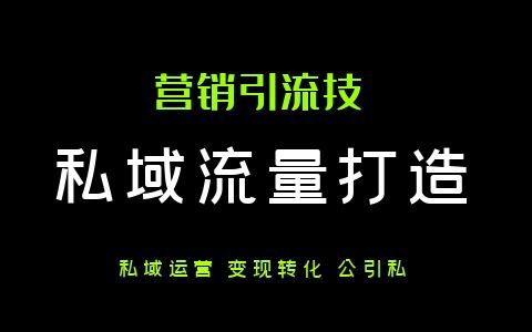 用一年时间做了30万私域粉，近万字长文经验分享