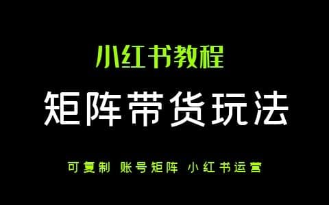 学生党小红书带货月入3w+,可被复制的矩阵带货玩法
