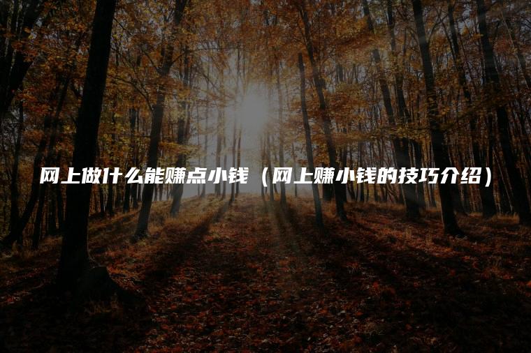 网上做什么能赚点小钱（网上赚小钱的技巧介绍）