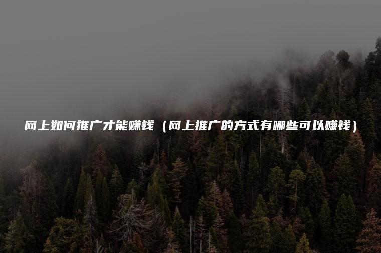 网上如何推广才能赚钱（网上推广的方式有哪些可以赚钱）