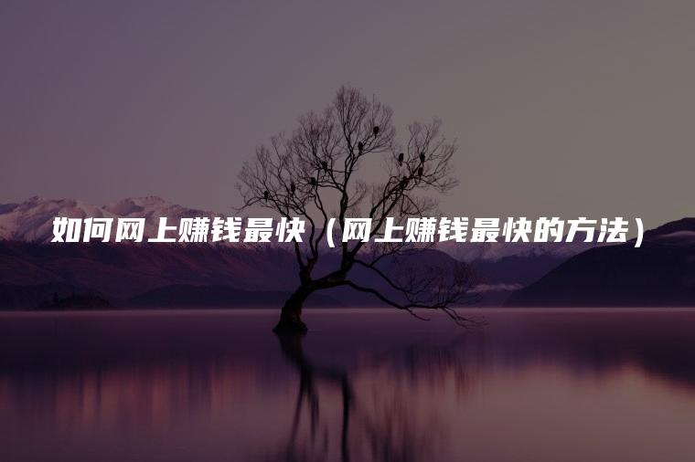 如何网上赚钱最快（网上赚钱最快的方法）