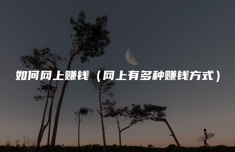 如何网上赚钱（网上有多种赚钱方式）
