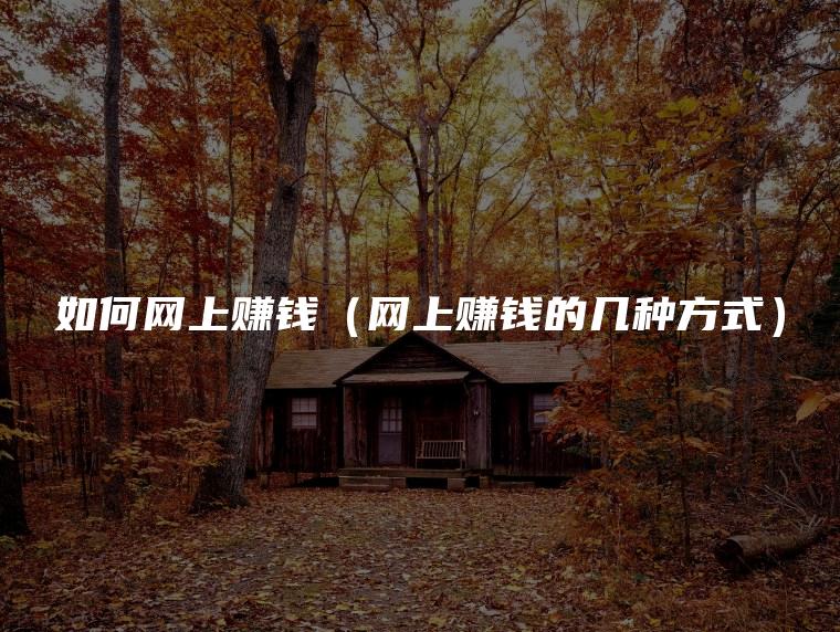 如何网上赚钱（网上赚钱的几种方式）
