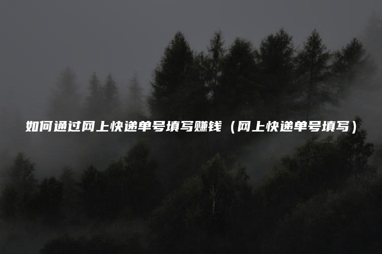 如何通过网上快递单号填写赚钱（网上快递单号填写）