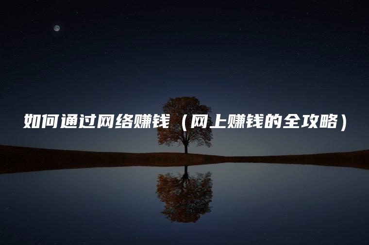 如何通过网络赚钱（网上赚钱的全攻略）