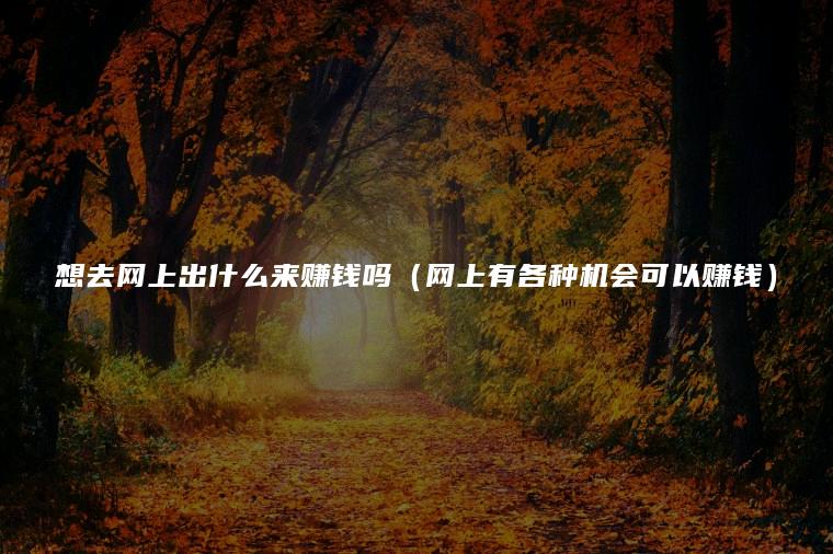 想去网上出什么来赚钱吗（网上有各种机会可以赚钱）