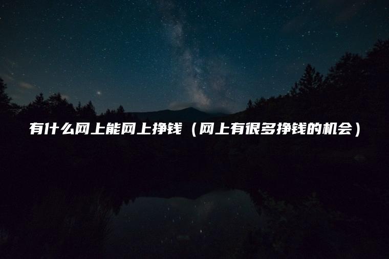 有什么网上能网上挣钱（网上有很多挣钱的机会）