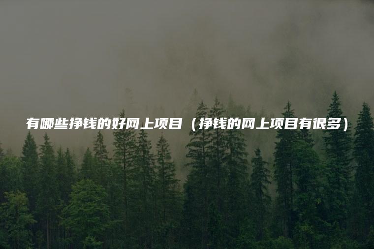 有哪些挣钱的好网上项目（挣钱的网上项目有很多）