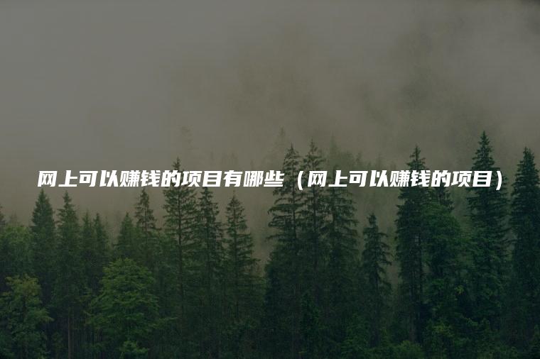 网上可以赚钱的项目有哪些（网上可以赚钱的项目）
