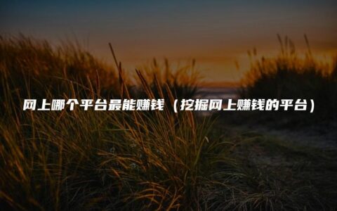 网上哪个平台最能赚钱（挖掘网上赚钱的平台）