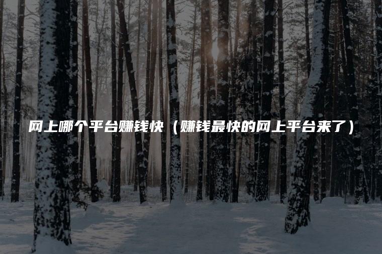网上哪个平台赚钱快（赚钱最快的网上平台来了）