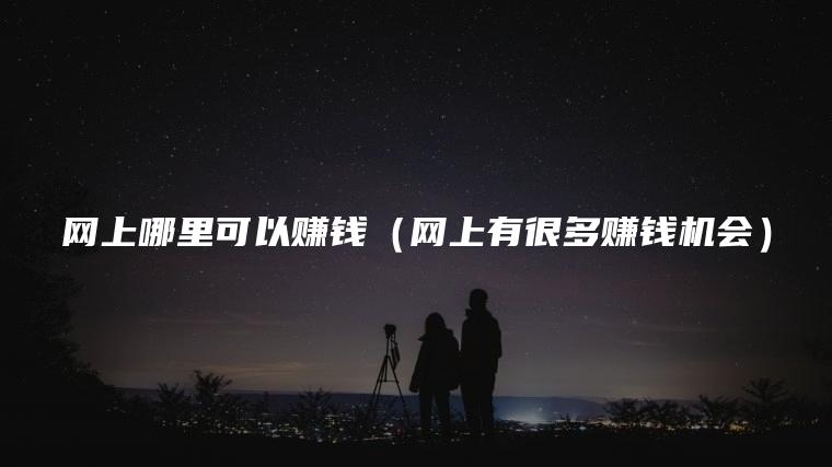 网上哪里可以赚钱（网上有很多赚钱机会）