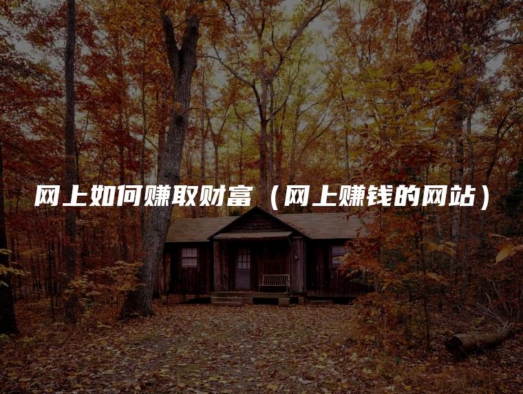 网上如何赚取财富（网上赚钱的网站）
