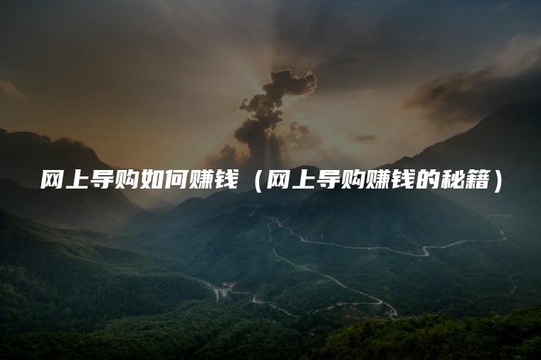 网上导购如何赚钱（网上导购赚钱的秘籍）