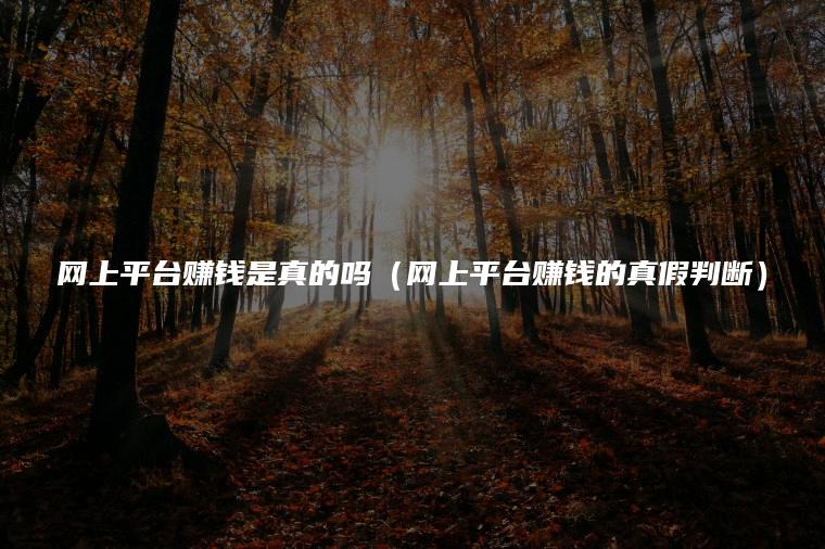 网上平台赚钱是真的吗（网上平台赚钱的真假判断）