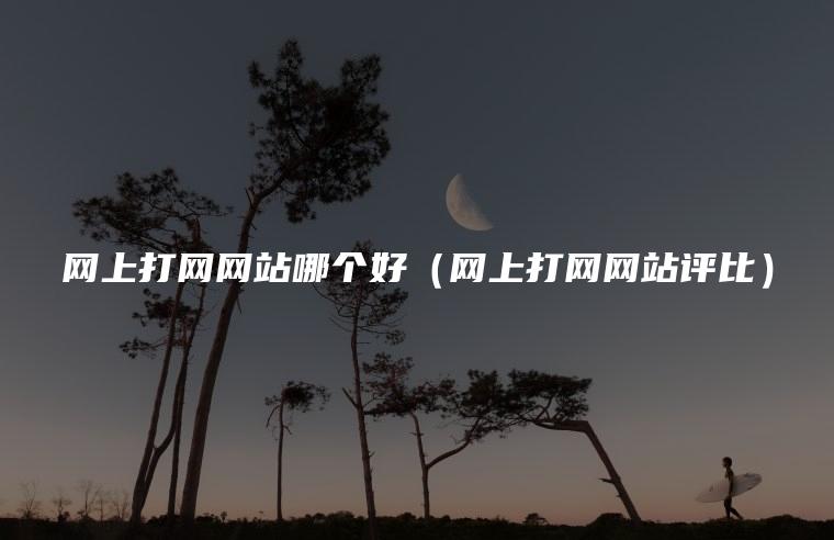 网上打网网站哪个好（网上打网网站评比）