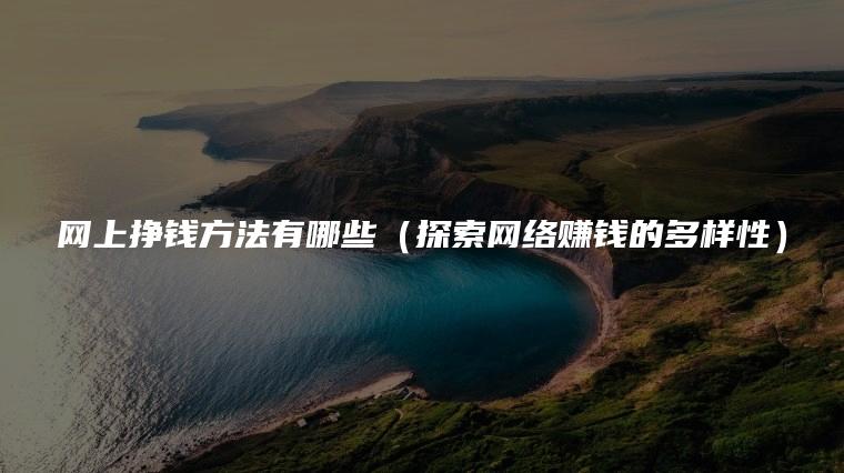 网上挣钱方法有哪些（探索网络赚钱的多样性）