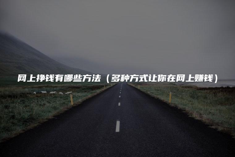 网上挣钱有哪些方法（多种方式让你在网上赚钱）