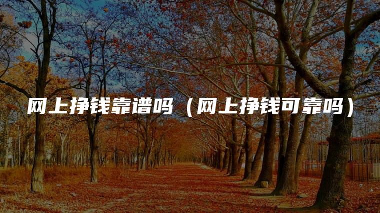 网上挣钱靠谱吗（网上挣钱可靠吗）