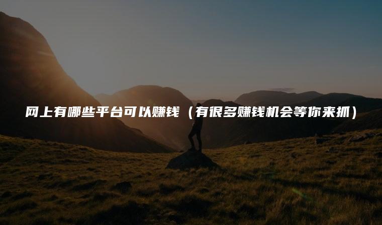 网上有哪些平台可以赚钱（有很多赚钱机会等你来抓）