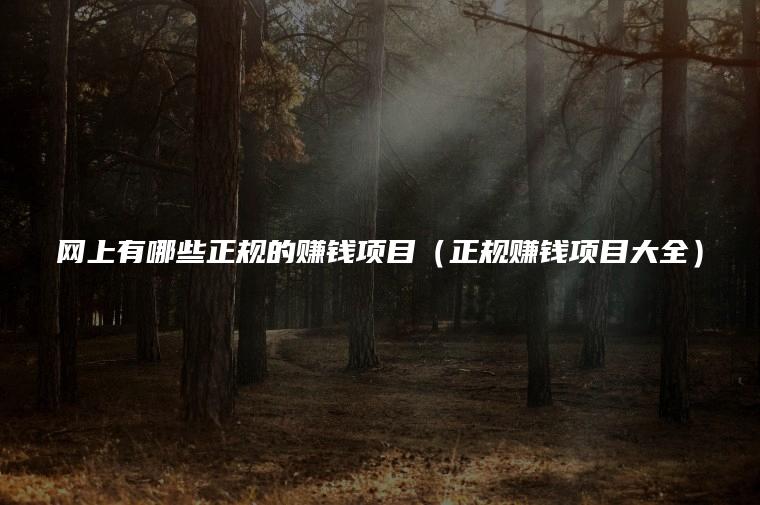 网上有哪些正规的赚钱项目（正规赚钱项目大全）