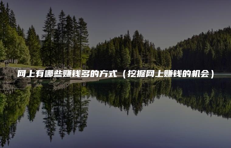 网上有哪些赚钱多的方式（挖掘网上赚钱的机会）