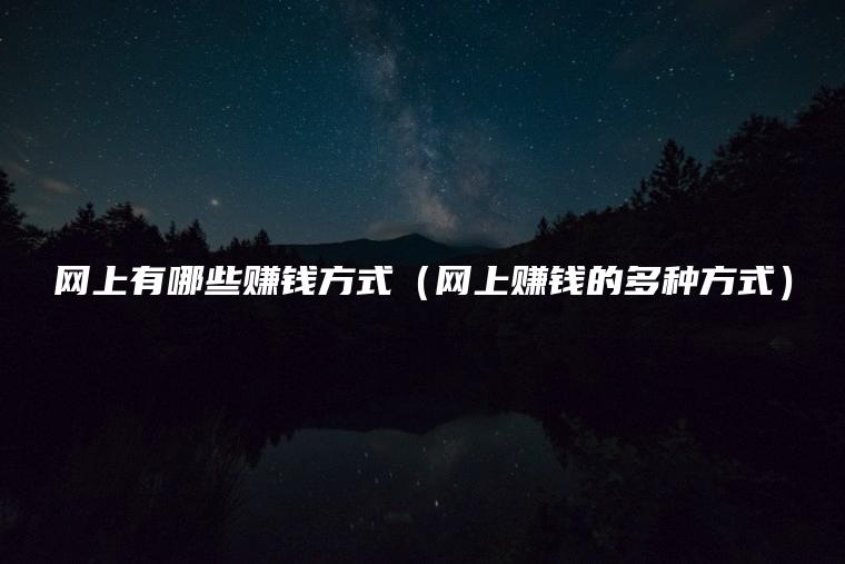 网上有哪些赚钱方式（网上赚钱的多种方式）