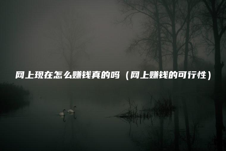网上现在怎么赚钱真的吗（网上赚钱的可行性）