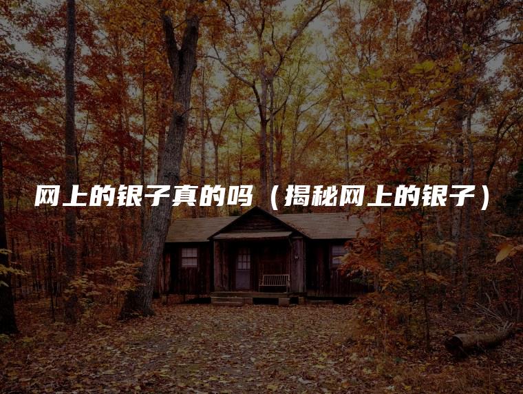 网上的银子真的吗（揭秘网上的银子）