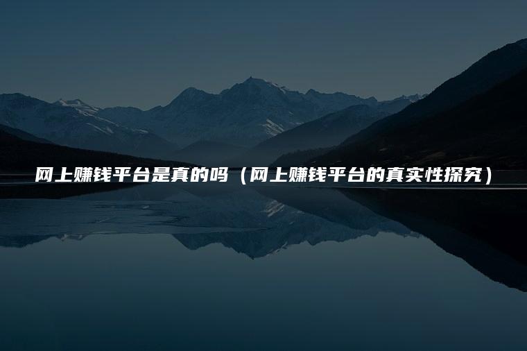 网上赚钱平台是真的吗（网上赚钱平台的真实性探究）