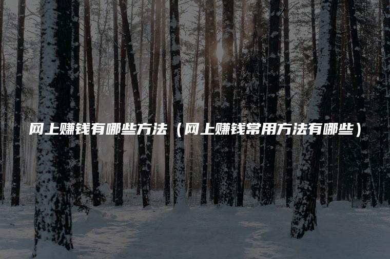 网上赚钱有哪些方法（网上赚钱常用方法有哪些）