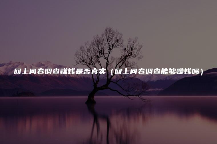 网上问卷调查赚钱是否真实（网上问卷调查能够赚钱吗）