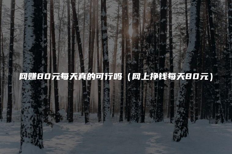 网赚80元每天真的可行吗（网上挣钱每天80元）