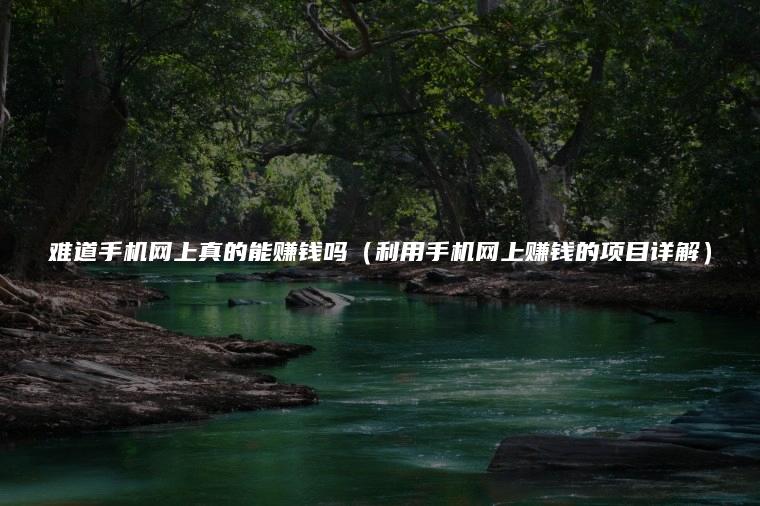 难道手机网上真的能赚钱吗（利用手机网上赚钱的项目详解）