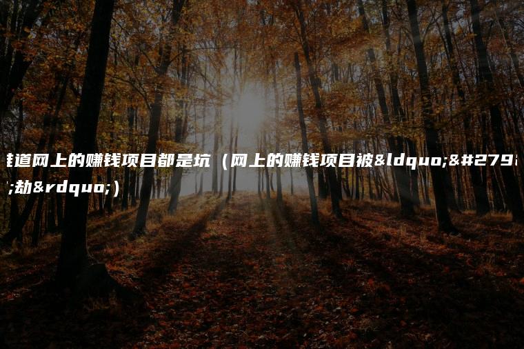 难道网上的赚钱项目都是坑（网上的赚钱项目被“洗劫”）