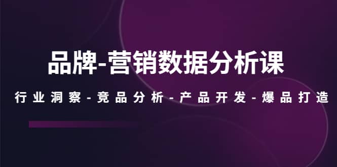 品牌营销数据分析课，行业洞察-竞品分析-产品开发-爆品打造