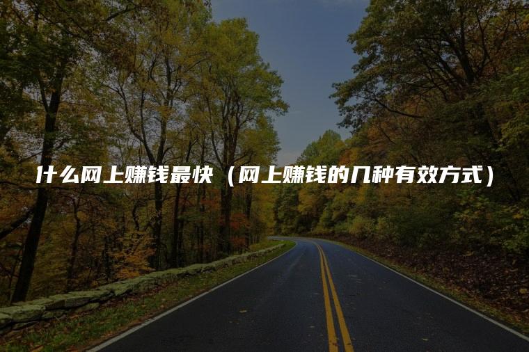 什么网上赚钱最快（网上赚钱的几种有效方式）