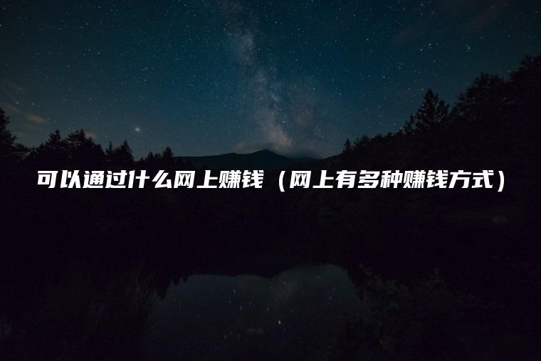 可以通过什么网上赚钱（网上有多种赚钱方式）