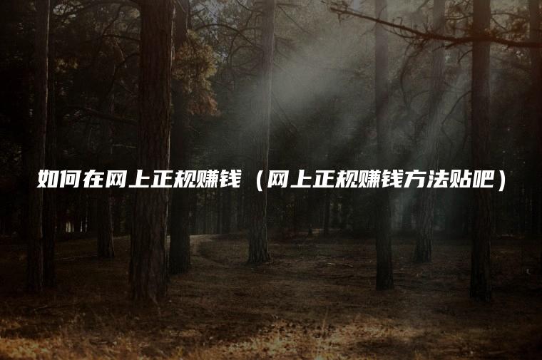 如何在网上正规赚钱（网上正规赚钱方法贴吧）