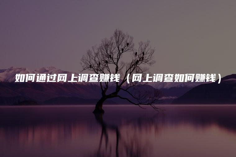 如何通过网上调查赚钱（网上调查如何赚钱）