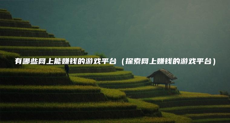有哪些网上能赚钱的游戏平台（探索网上赚钱的游戏平台）