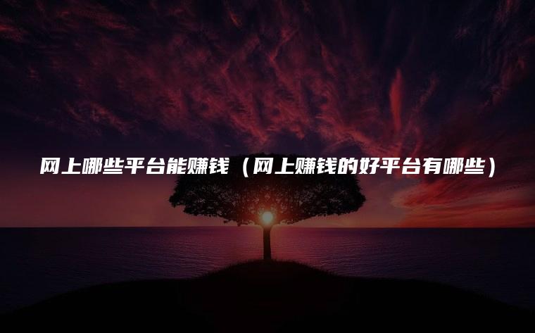 网上哪些平台能赚钱（网上赚钱的好平台有哪些）