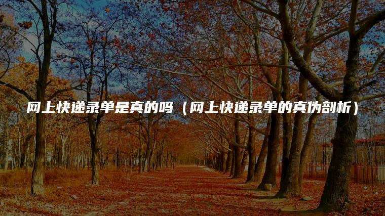 网上快递录单是真的吗（网上快递录单的真伪剖析）