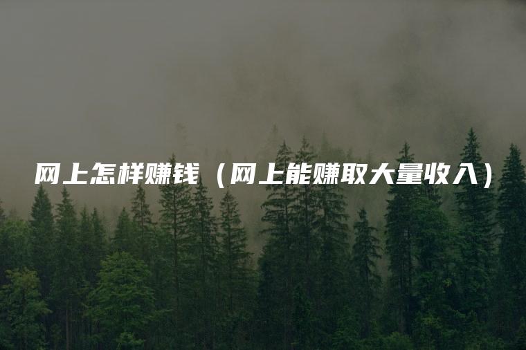 网上怎样赚钱（网上能赚取大量收入）