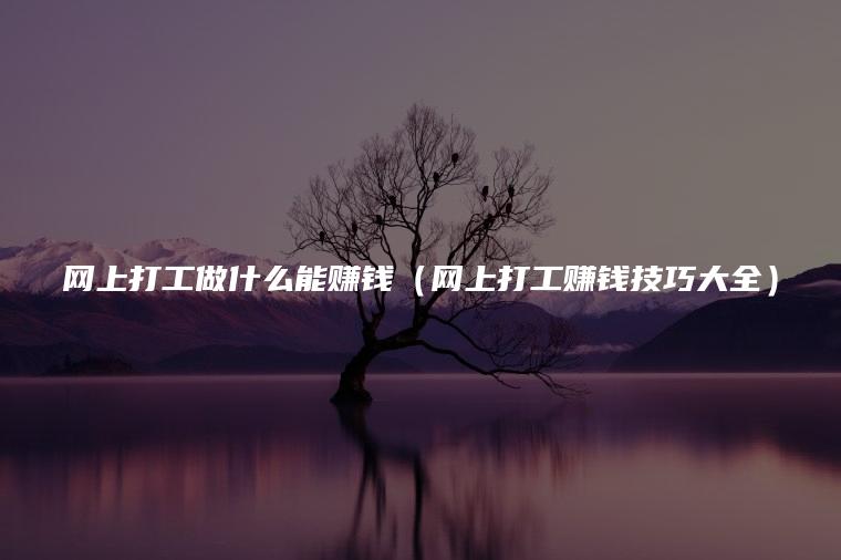 网上打工做什么能赚钱（网上打工赚钱技巧大全）
