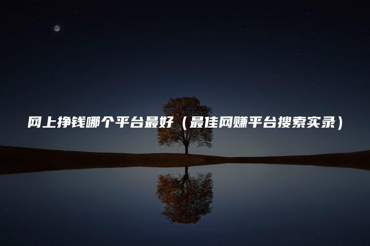 网上挣钱哪个平台最好（最佳网赚平台搜索实录）