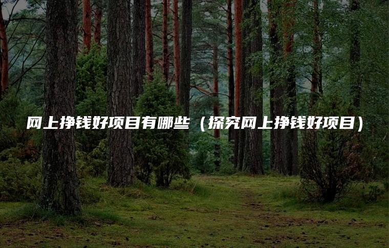 网上挣钱好项目有哪些（探究网上挣钱好项目）
