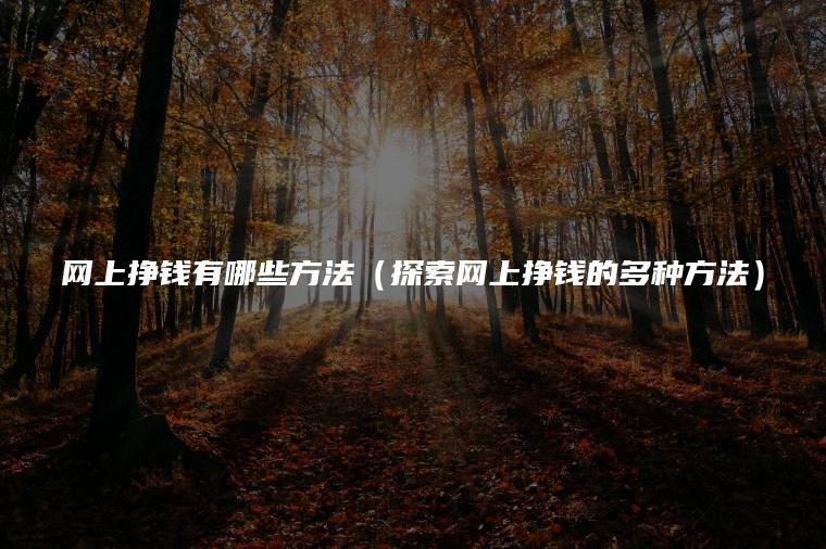 网上挣钱有哪些方法（探索网上挣钱的多种方法）