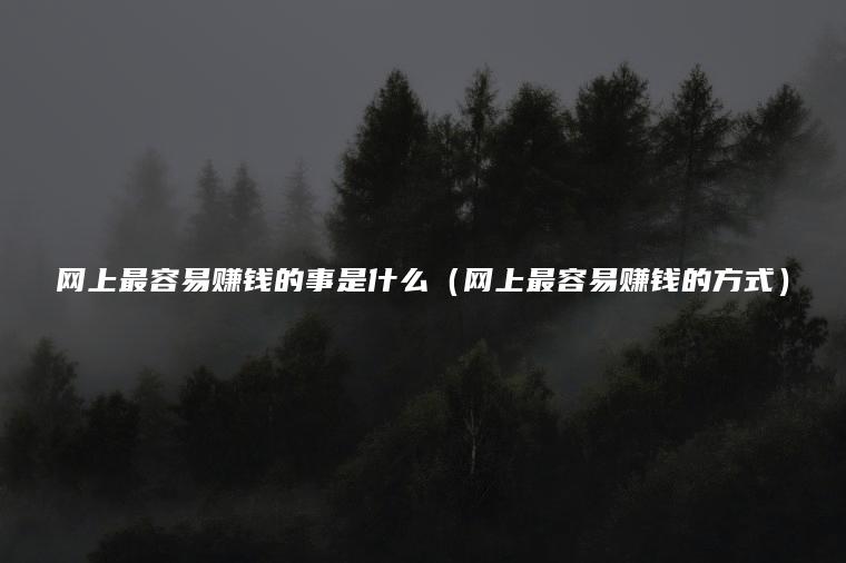 网上最容易赚钱的事是什么（网上最容易赚钱的方式）